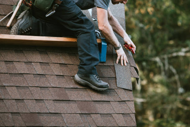 Best Storm Damage Roof Repair  in Hernando Beach, FL