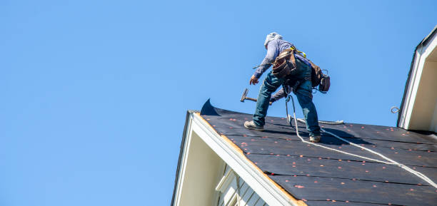 Professional Roofing Contractor in Hernando Beach, FL